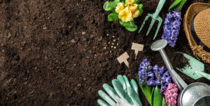 Sands & Soil