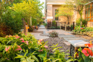 Decorative Ground Cover